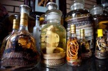 Snake Wine in Vietnam