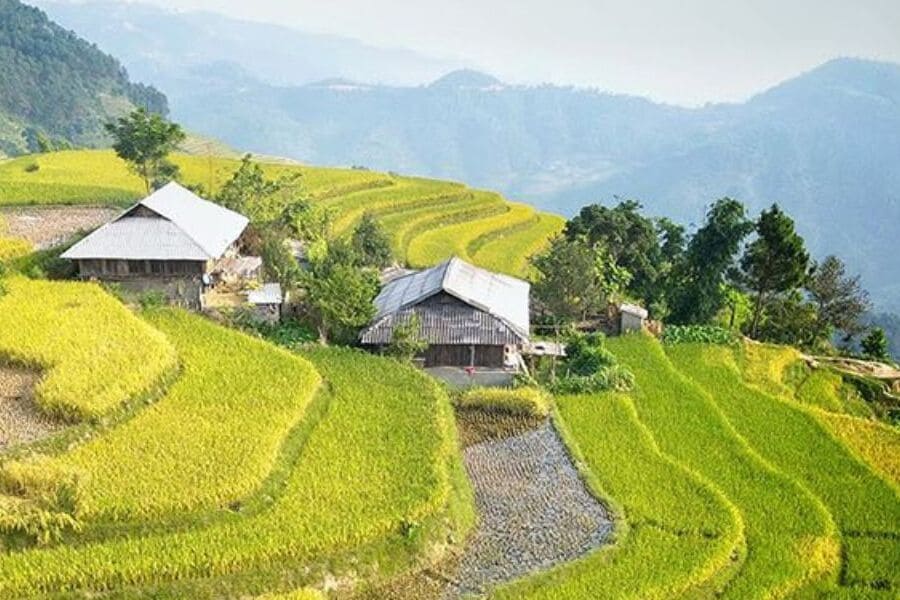 Sin Chai Village - Vietnam tours packages