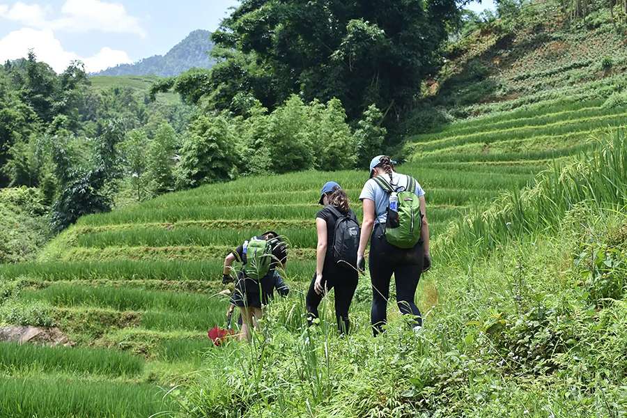 Sapa Villages Trekking Tour - Vietnam tour package