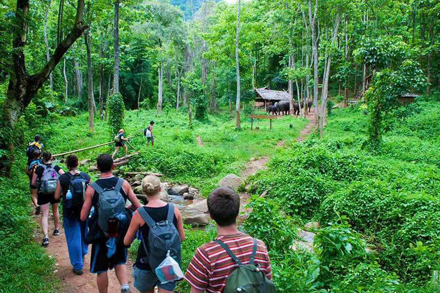 Cuc Phuong National Park - Vietnam adventure tours