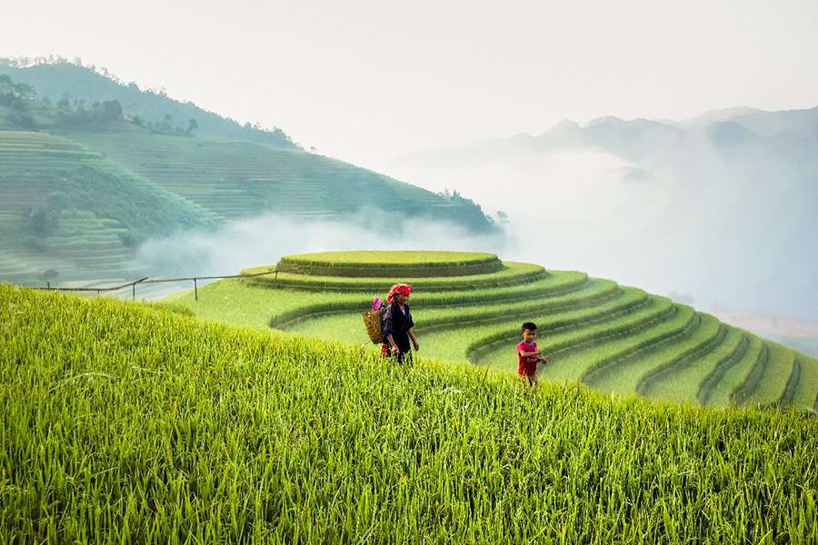 Weather in Northern - Vietnam family tours